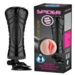 Spider Wall Fix Pussy