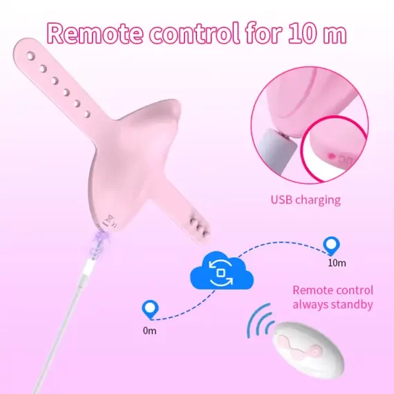 Panty Vibrator